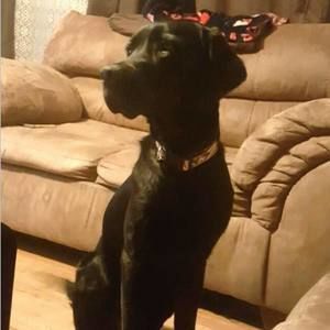 Meet your Posher, Nina